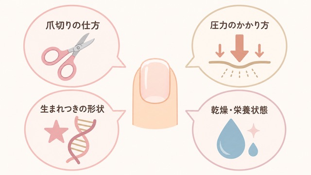 爪が曲がって生える原因を整理した図解