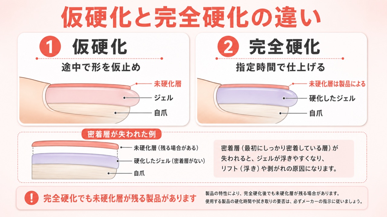 仮硬化と完全硬化の違いを示す爪の断面比較図解